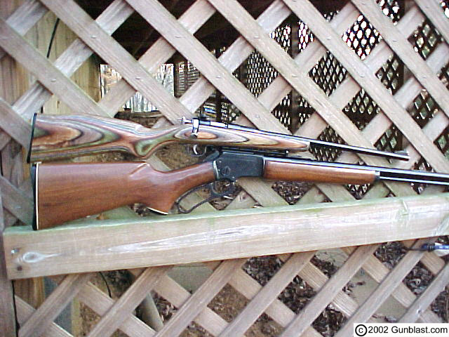 22+rifle+gun