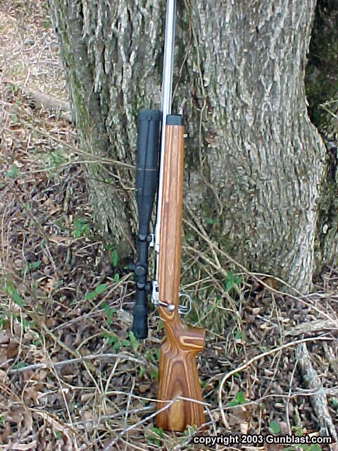 Savage 12BVSS .22-250 Varmint Gun