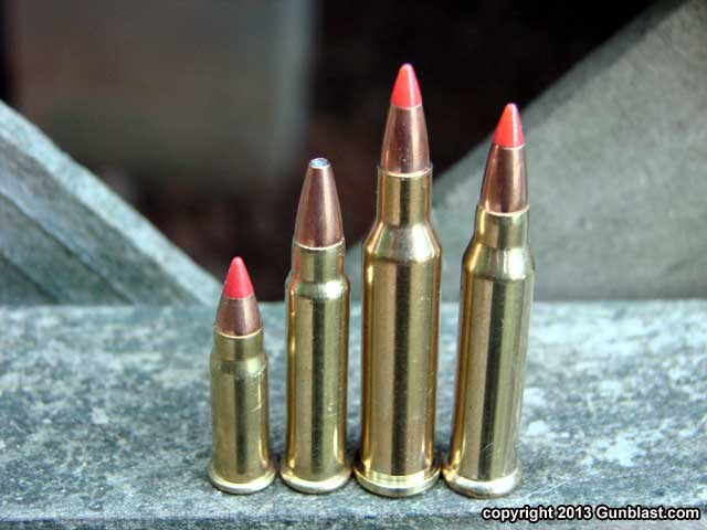 Cartridge comparison (left to right): 17 HM2, 17 HMR, 17 Hornet, and 17 W.....
